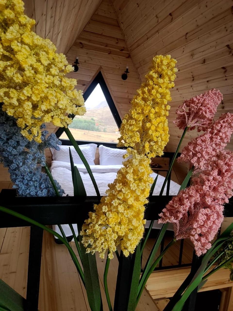 Mtisguli Cottages 카즈베기 외부 사진