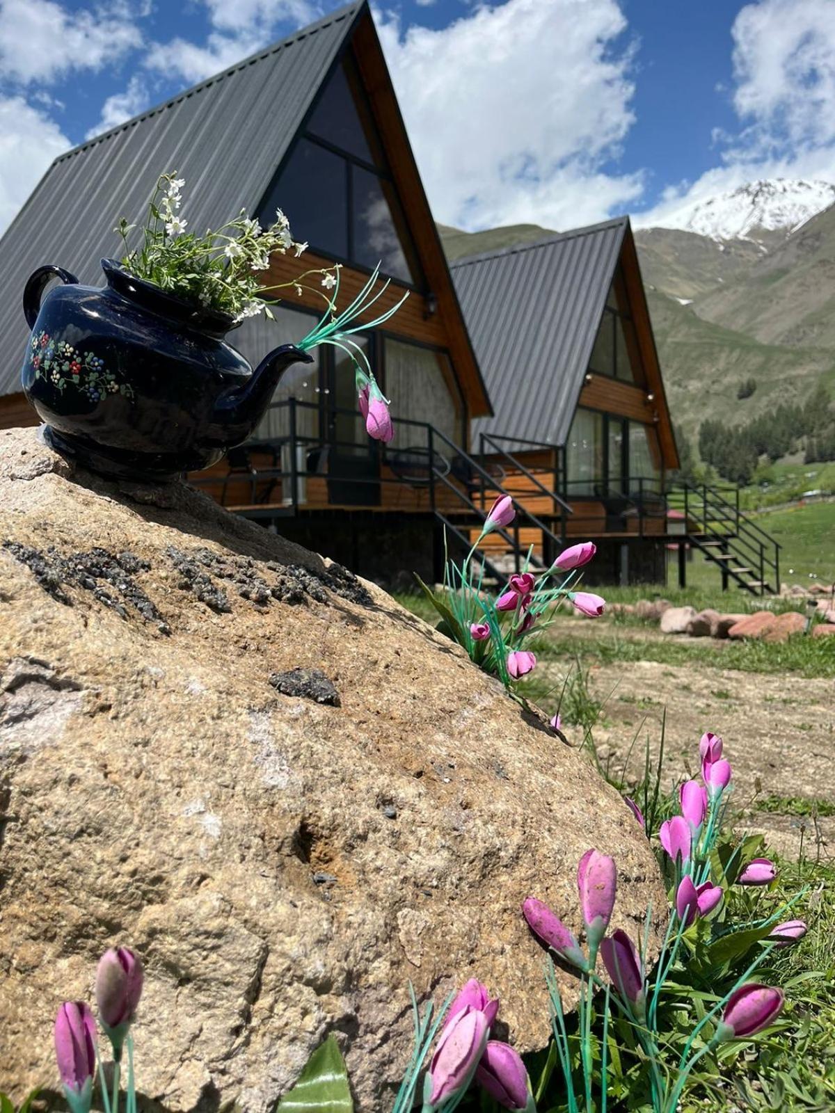 Mtisguli Cottages 카즈베기 외부 사진