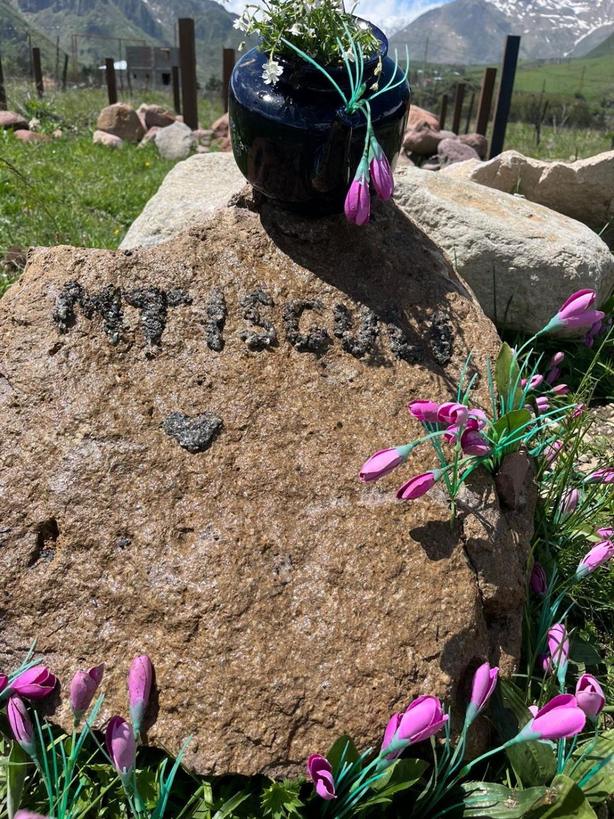 Mtisguli Cottages 카즈베기 외부 사진